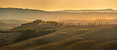 Blick auf eine goldene toskanische Landschaft bei Pienza, Pienza, Provinz Siena, Toskana, Italien, Europa