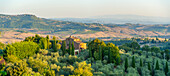 Blick auf Schloss, Olivenbäume und Weinberge, Montepulciano, Provinz Siena, Toskana, Italien, Europa
