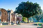 Roman Great baths, Hadrian's Villa, UNESCO World Heritage Site, Tivoli, Province of Rome, Latium (Lazio), Italy, Europe
