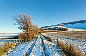 Snowy footpath near the village of Wilmington, South Downs National Park, East Sussex, England, United Kingdom, Europe