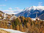 Das Dorf Sent und die Herbstfarben im Unterengadin, Sent, Graubünden, Schweiz, Europa