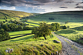 Das Dorf Arncliffe, umgeben von Trockensteinmauern und grünen Feldern, Littondale, The Yorkshire Dales, Yorkshire, England, Vereinigtes Königreich, Europa