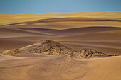 Pink sand dunes, Namibe (Namib) desert, Iona National Park, Namibe, Angola, Africa