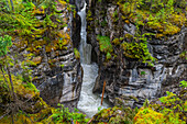 Maligne Canyon, Jasper National Park, UNESCO World Heritage Site, Alberta, Canadian Rockies, Canada, North America