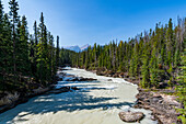 Natural Bridge Lower Falls, Yoho-Nationalpark, UNESCO-Weltnaturerbe, British Columbia, Kanada, Nordamerika