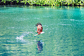 An adult Brahminy kite (Haliastur indus), catching fish on Batu Hatrim, Raja Ampat, Indonesia, Southeast Asia, Asia