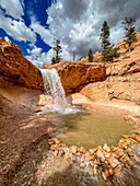 Ein Wasserfall, der durch den Mossy Cave Trail im Bryce Canyon National Park, Utah, Vereinigte Staaten von Amerika, Nordamerika, fließt