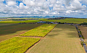 Luftaufnahme von Patchwork-Feldern und Bergen am Horizont bei Mapou, Rempart District, Mauritius, Indischer Ozean, Afrika