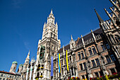 Neues Rathaus, Marienplatz (Platz), Altstadt, München, Bayern, Deutschland, Europa