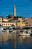 Harbor with Tower of Church of St. Euphemia in the background, Old Town, Rovinj, Croatia, Europe