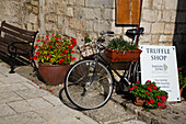 Bicycle in Front of Gift Shop, Motovun, Croatia, Europe
