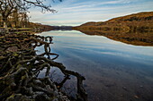Kalter, klarer und ruhiger Tag mit Blick auf Coniston Water, Lake District National Park, UNESCO-Welterbe, Cumbria, England, Vereinigtes Königreich, Europa