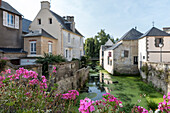 Der Fluss Aure, eingerahmt von leuchtend rosa Blumen an einem Sommertag, Bayeux, Normandie, Frankreich, Europa