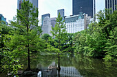 Blick auf das Stadtbild von Manhattan von The Pond aus gesehen, einem der sieben Gewässer im Central Park in der Nähe des Grand Army Plaza, gegenüber dem Central Park South vom Plaza Hotel, New York City, Vereinigte Staaten von Amerika, Nordamerika