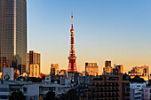 Schöner Sonnenuntergang über der Skyline von Tokio mit Toyko Tower, Tokio, Honshu, Japan, Asien