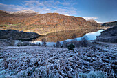Frostbedeckte Bracken oberhalb von Llyn Dinas im Winter, nahe Beddgelert, Snowdonia National Park (Eryri), Nordwales, Vereinigtes Königreich, Europa
