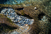 Ripples und Steinmuster im klaren Wasser des Afon Cwm Llan, Cwm Llan, The Watkin Path, Snowdonia National Park (Eryri), Nordwales, Vereinigtes Königreich, Europa