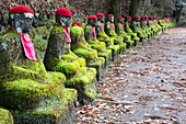 Narabi Jizo Buddha-Statuen mit rotem Hut, bedeckt mit Moos in Nikko, Tochigi, Honshu, Japan, Asien