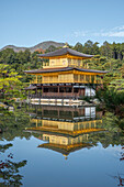 Kinkaku-ji Golden Pavilion Temple reflected in a pond in autumn, UNESCO World Heritage Site, Kyoto, Honshu, Japan, Asia