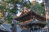 Details eines Turms im Toshogu Grand Shrine, UNESCO-Weltkulturerbe, Nikko, Honshu, Japan, Asien