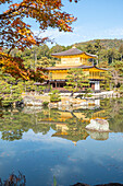 Kinkaku-ji temple of the Golden Pavilion reflected in a lake, UNESCO World Heritage Site, Kyoto, Honshu, Japan, Asia