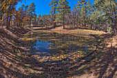 One of three ponds called the Hearst Tanks, on Grand Canyon South Rim, located one mile east of Grandview Point, Grand Canyon National Park, UNESCO World Heritage Site, Arizona, United States of America, North America 