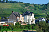 Winningen city along the Moselle, Winningen, Rhineland-Palatinate, Germany, Europe