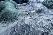 Neglected fishing nets