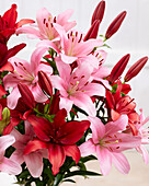 Lilienbouquet