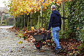 Pruning plane trees