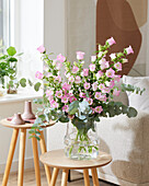 Campanula medium Champion bouquet pink (bellflowers)