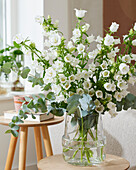 Campanula medium Champion bouquet white