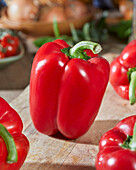 Red bell pepper, Capsicum annuum