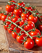 Cherry tomatoes, Solanum lycopersicum