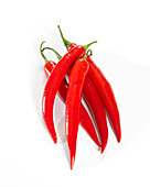 Red pepper, Capsicum annuum