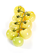 Yellow tomato, Solanum lycopersicum