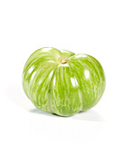 Grüne Tomate, Solanum lycopersicum