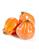 Fleischtomate, Solanum lycopersicum Coeur de Boeuf