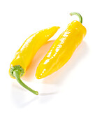 Yellow sweet peppers, Capsicum annuum