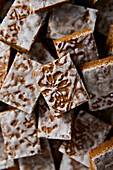 Stamped Gingerbread iced spicy Cookies