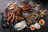 Rohe Meeresfrüchte auf Eis - Königskrabbe, Garnele, Venusmuscheln, Jakobsmuscheln, Oktopus, Tintenfisch, Meeräsche auf dunklem Hintergrund