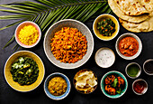 Indisches Essen Curry-Butterhuhn, Palak Paneer, Chiken Tikka, Biryani, Papad, Dal, Reis mit Safran und Naan-Brot auf weißem Hintergrund