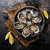 Open shucked fresh Oysters with lemon on ice on dark background