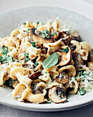 Close-up of a bowl of creamy mushroom pasta with sage