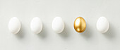 White chicken eggs with one golden egg flat lay top view banner. standing out from the crowd