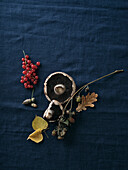 Autumnal food ingredients on a dark blue background. Flat-lay of autumn vegetables, berries and mushrooms from the local market. Vegan ingredients