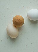 Eggs, different colours and textures on white
