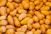 Vollbild eines Haufens reifer, köstlicher gelber Kartoffeln der neuen Ernte am Stand in der Wurzelgemüseabteilung auf dem örtlichen Bauernmarkt