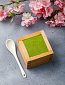 Matcha-Tiramisu-Dessert und Sakura-Zweig auf Betonhintergrund
