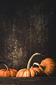 Ripe orange pumpkins and dark background